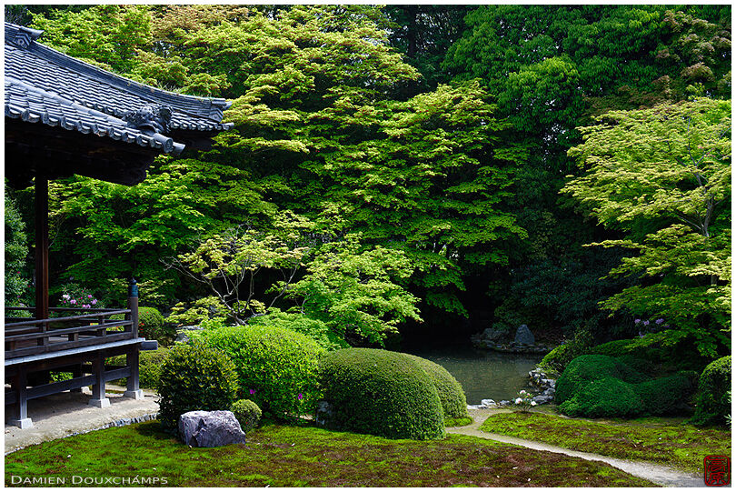 Terrace and moss garden with pond, Zuishin-in temple
