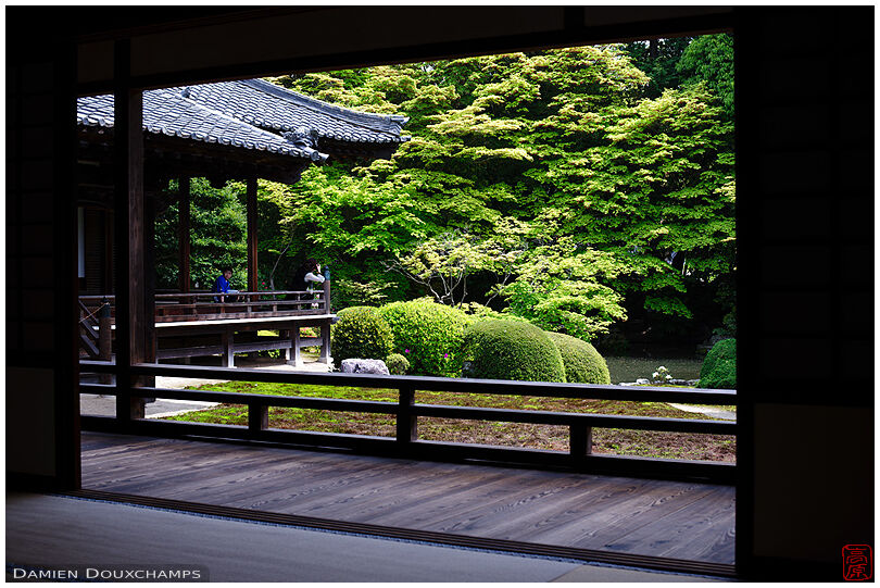 Window on zen garden, Zuishin-in temple