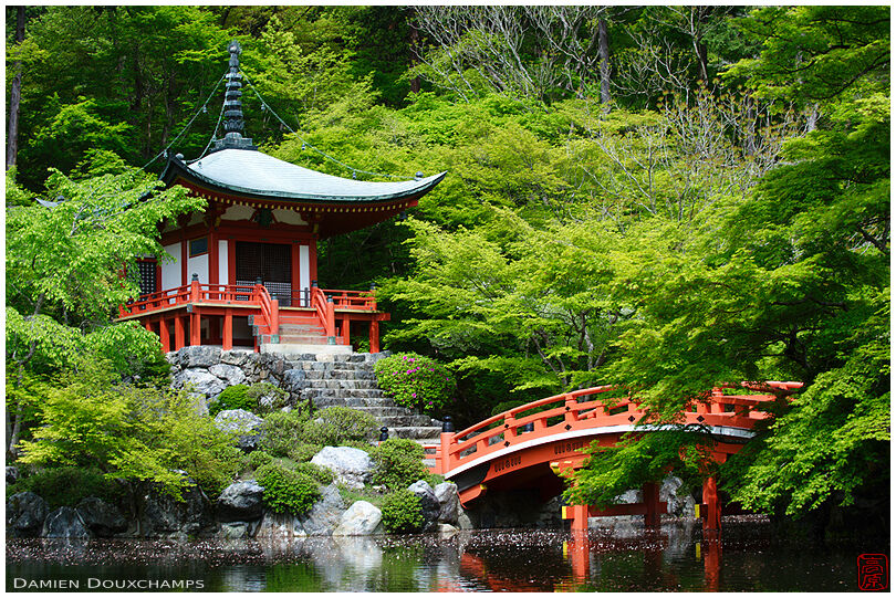 Bridge and Bentendo hall in spring, Daigo-ji temple