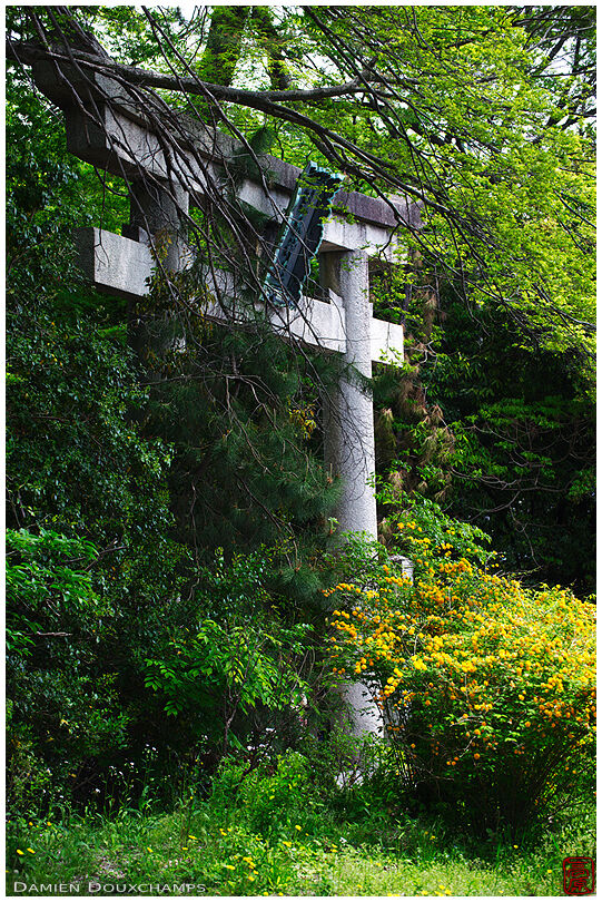 Concrete torii, Nashinoki shrine
