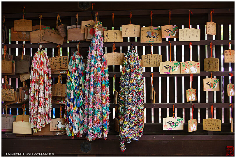 Votive offerings at Nashinoki shrine: ema tablets and grapes of 1000 folded paper cranes