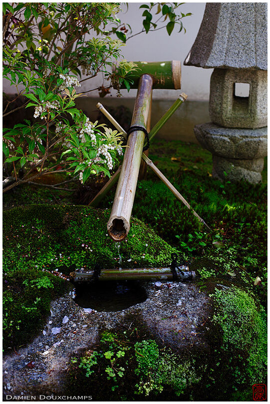 Small moss-covered water basin with lantern, Honman-ji temple