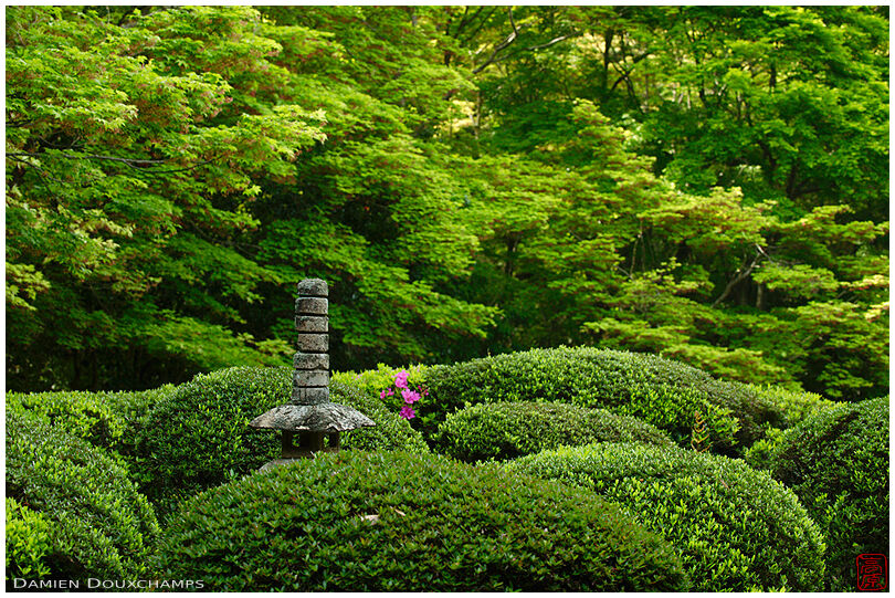 Miniature stone pagoda among spring green foliage, Shisen-do temple