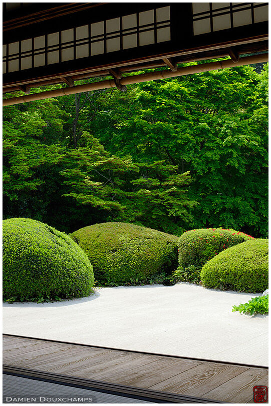 Shisen-do temple's rock garden in spring