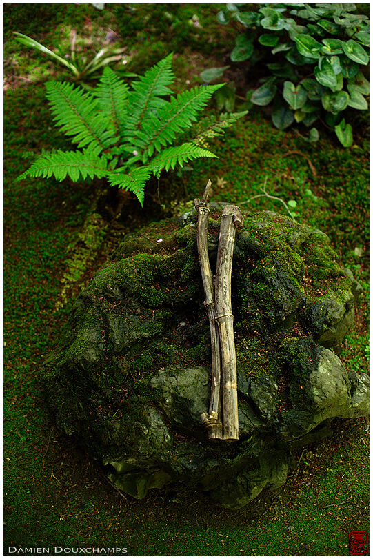 Stone with bamboo sticks, Ruriko-in temple