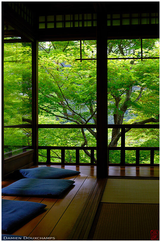 View on new maple foliage from traditional Japanese room, Ruriko-in temple