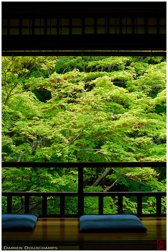 Meditation balcony with new spring foliage, Ruriko-in temple
