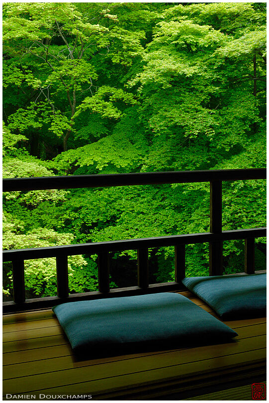 Meditation balcony in spring, Ruriko-in temple