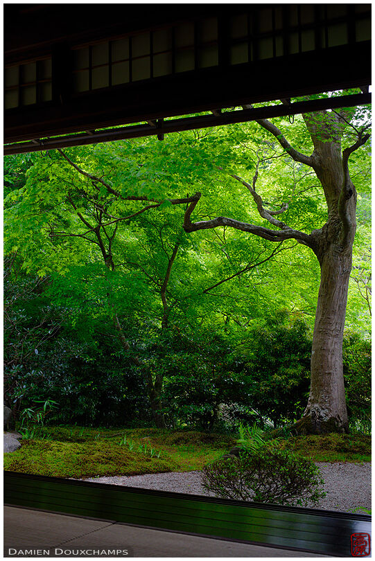 Meditation terrace on small zen garden, Ruriko-in