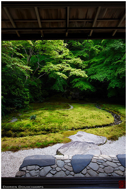 Ruriko-in temple's moss garden