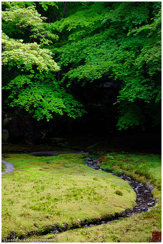 Narrow stream in Ruriko-in temple's moss garden