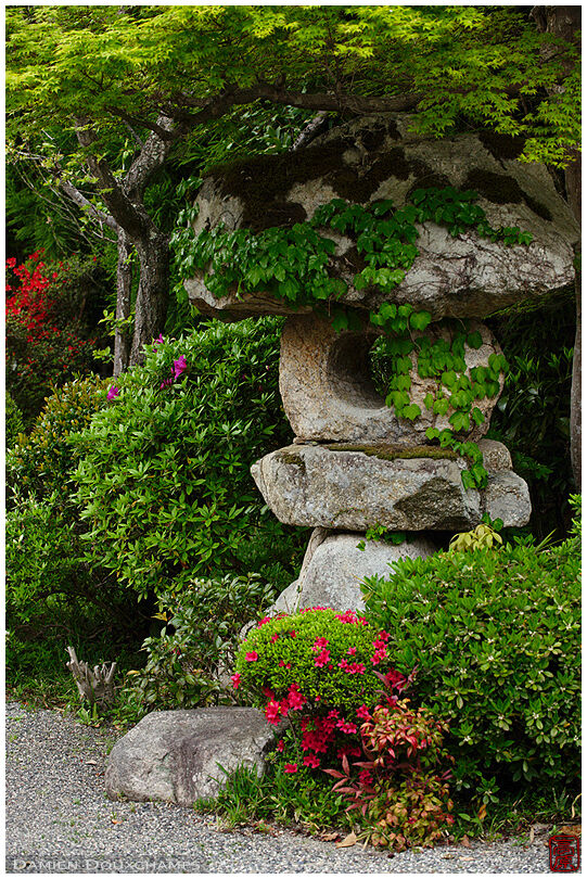 Ivy covered stone lantern