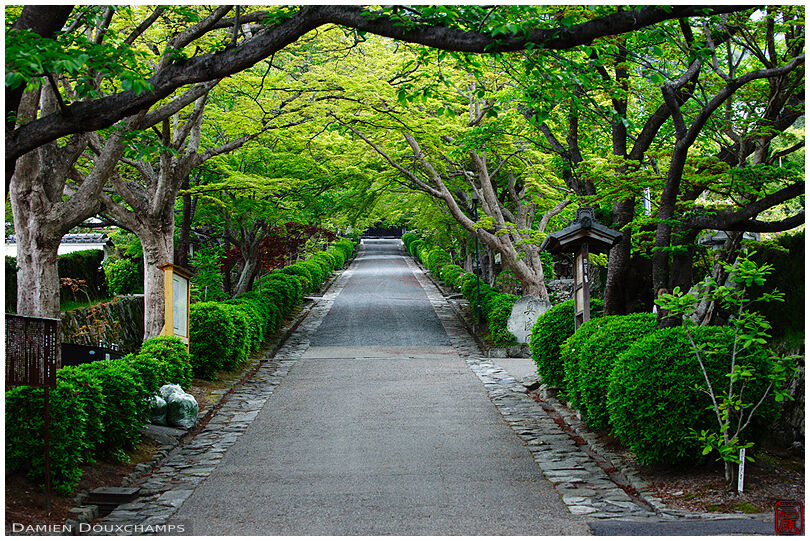 Alley leading to Saikyo-ji temple