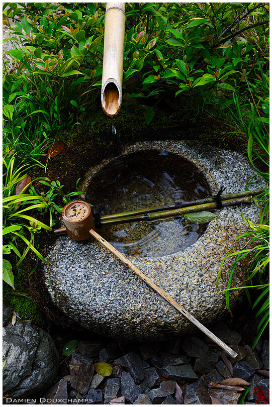 Stone water basin with bamboo spring and ladle, Toji-in temple