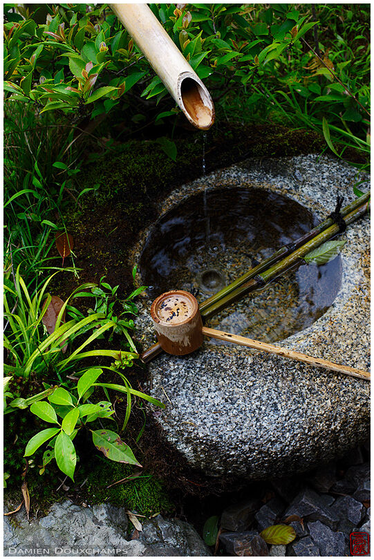 Stone water basin with bamboo spring and ladle, Toji-in temple