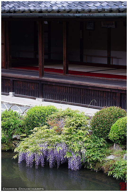 Meditation hall and pond, toji-in temple