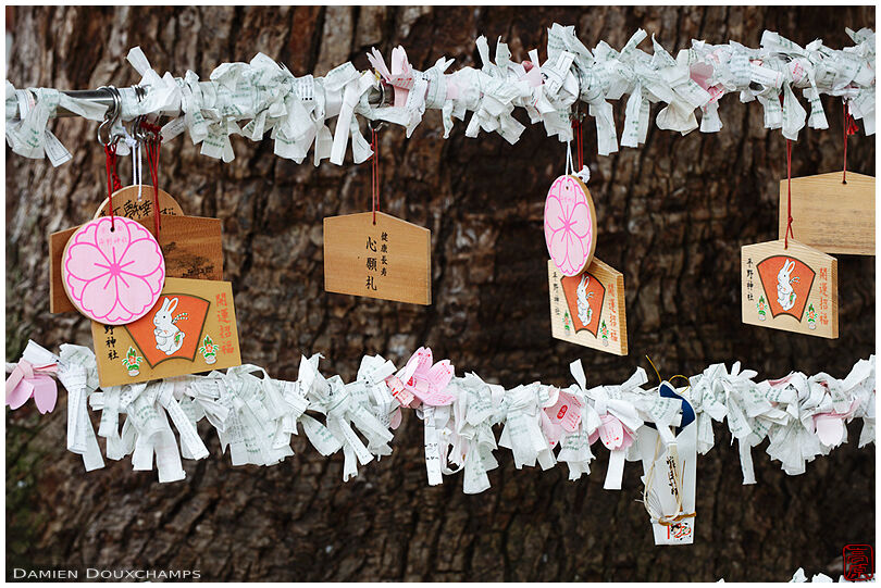 Ema tablet and tied umikuji fortunes, Hirano shrine