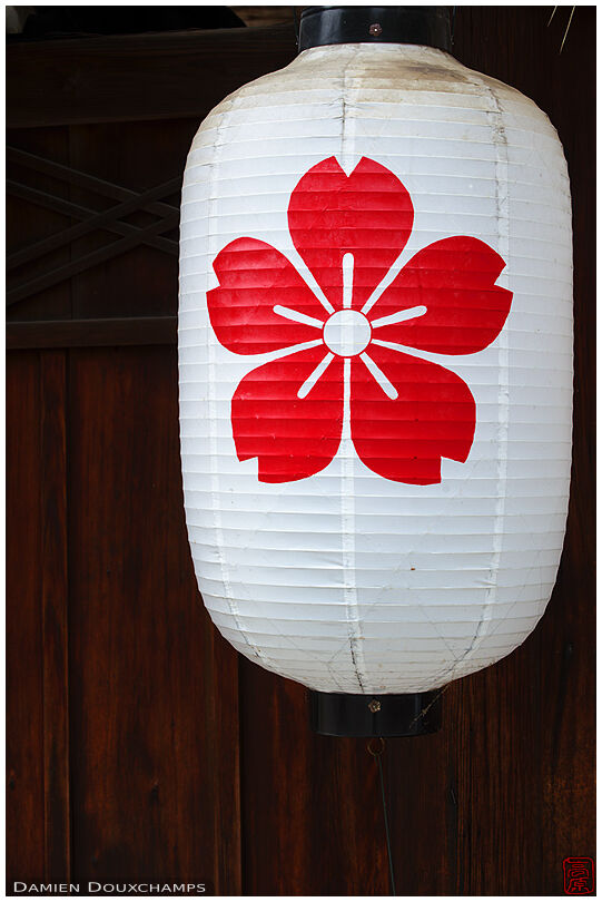 Paper lantern with cherry flower motif, Hirano shrine