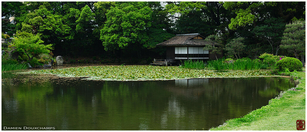 Pond with tea house, Shosei-en gardens