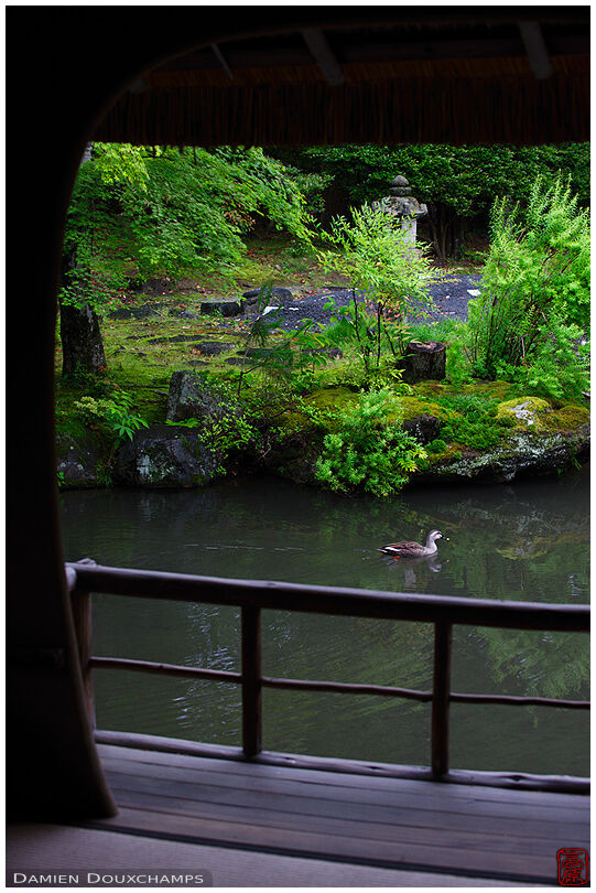 View from tea room bay window, Hakusa-sonso villa
