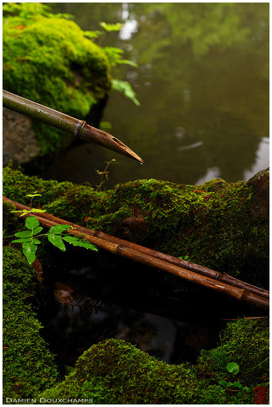 Moss-covered water basin, Hakusa-sonso villa