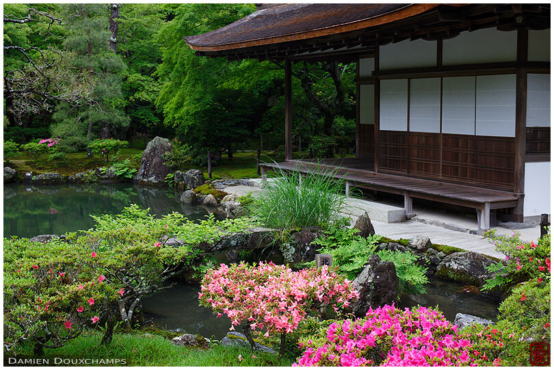 Rhododendrons around the Silver Pavilion in Ginkaku-ji temple