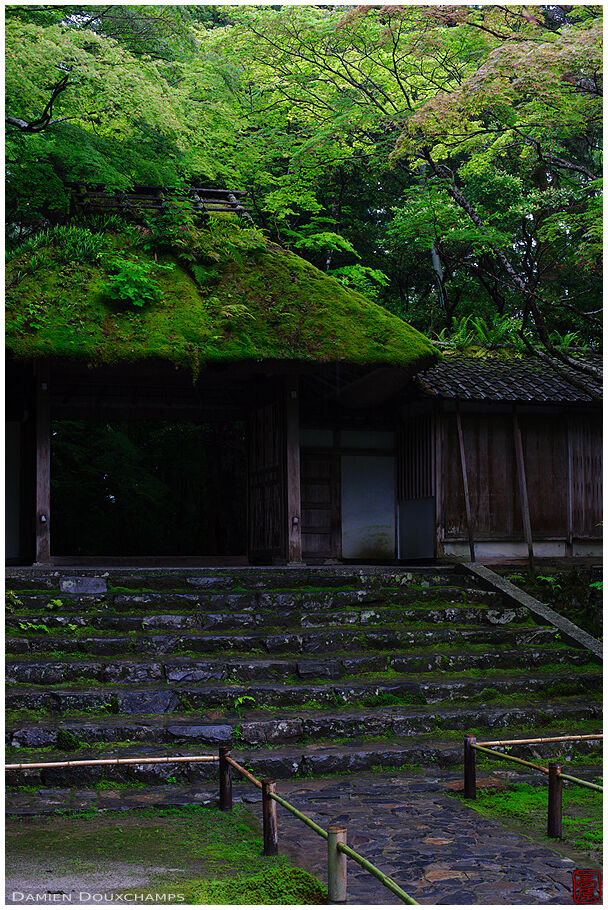 Honen-in tenple mossy gate