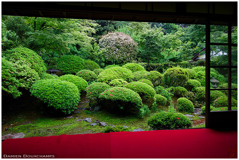 Bay window on zen graden, Anraku-ji temple