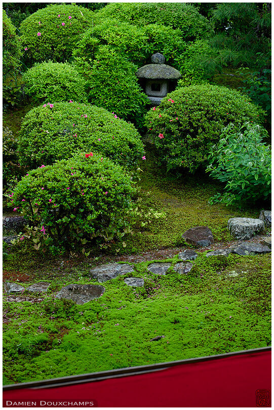 Stone lantern in Anraku-ji temple gardens