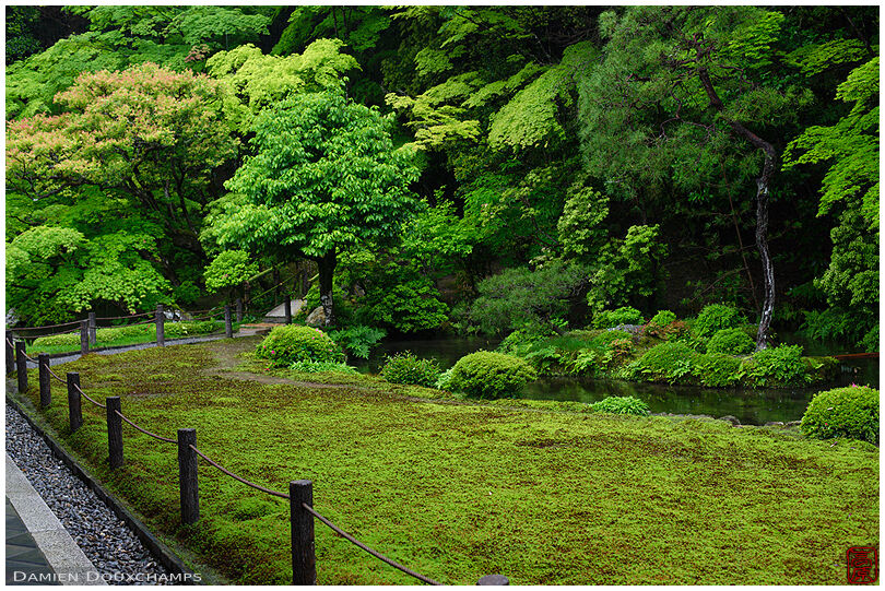 Moss garden, Nanzen-in temple