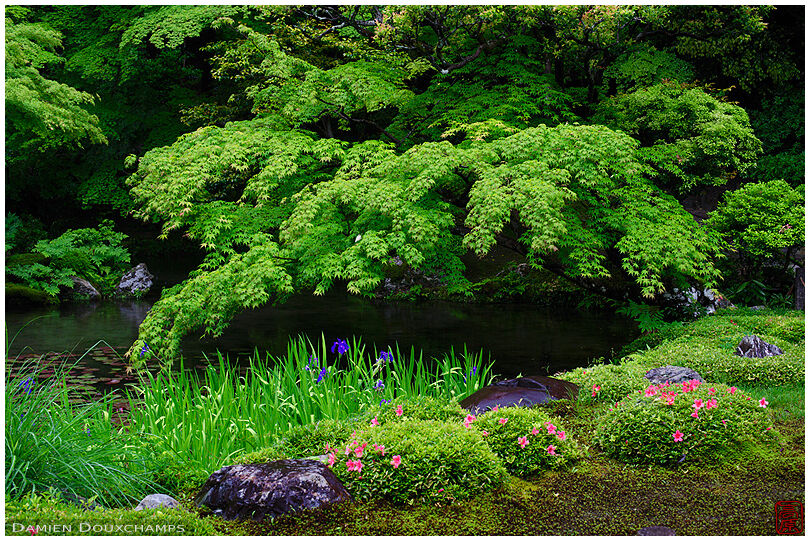 Hidden pond, Nanzen-in temple zen gardens