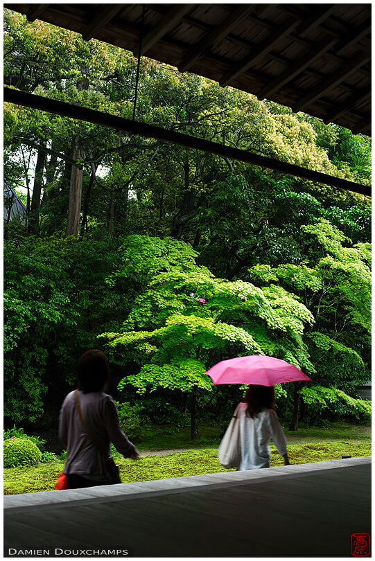 Woman with a pink umbrella in Nanzen-in temple, Kyoto, Japan