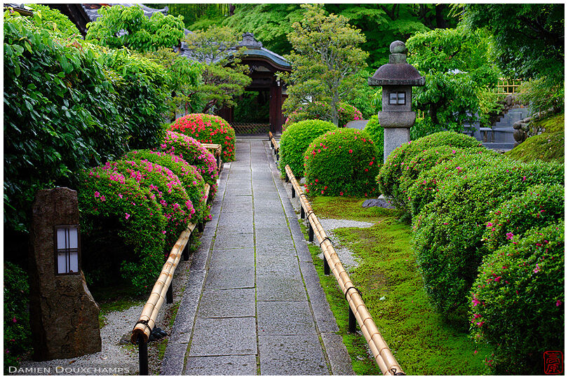 Stone lanterns and rhododendron bushes, entrance of Eisetsu-in temple