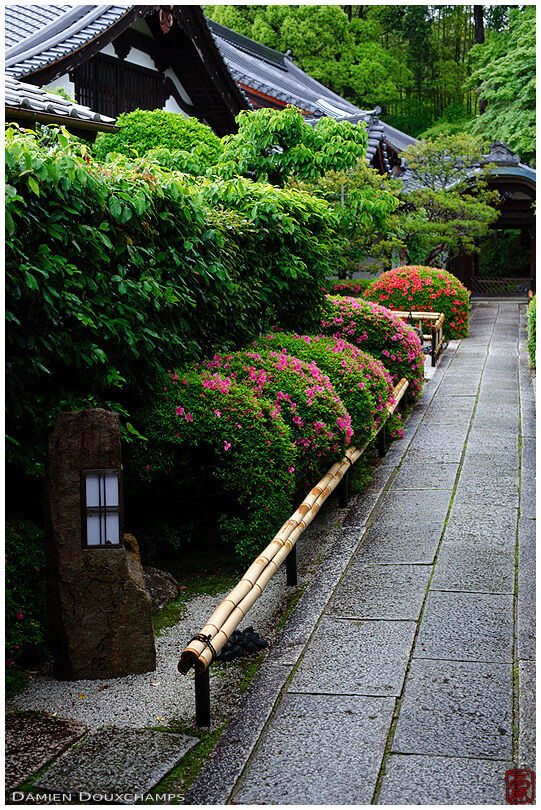 Stone lantern and rhododendron bushes, entrance of Eisetsu-in temple