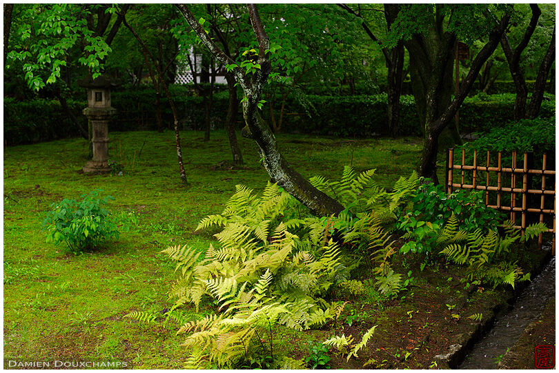 Stone lantern in Shinyo-do temple gardens