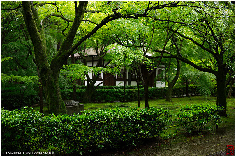 Shinyo-do temple gardens