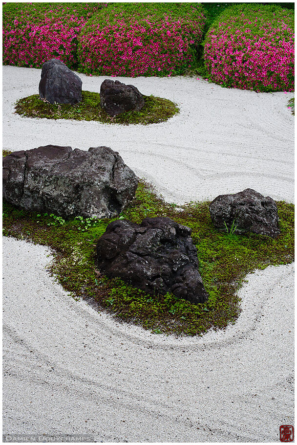 Rock garden with rhododendrons in bloom, Myoren-ji temple