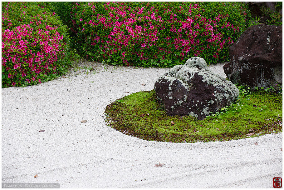 Rock garden with rhododendrons in bloom, Myoren-ji temple