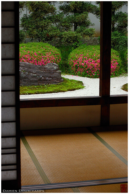 Rock garden with rhododendrons from traditional Japanese room, Myoren-ji temple