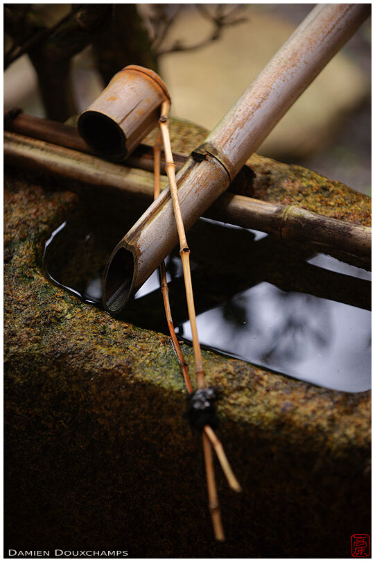 Water basin with bamboo ladle in Myoren-ji temple