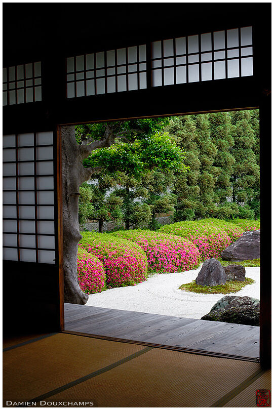 Meditation room with view on rock garden with rhododendrons in bloom, Myoren-ji temple