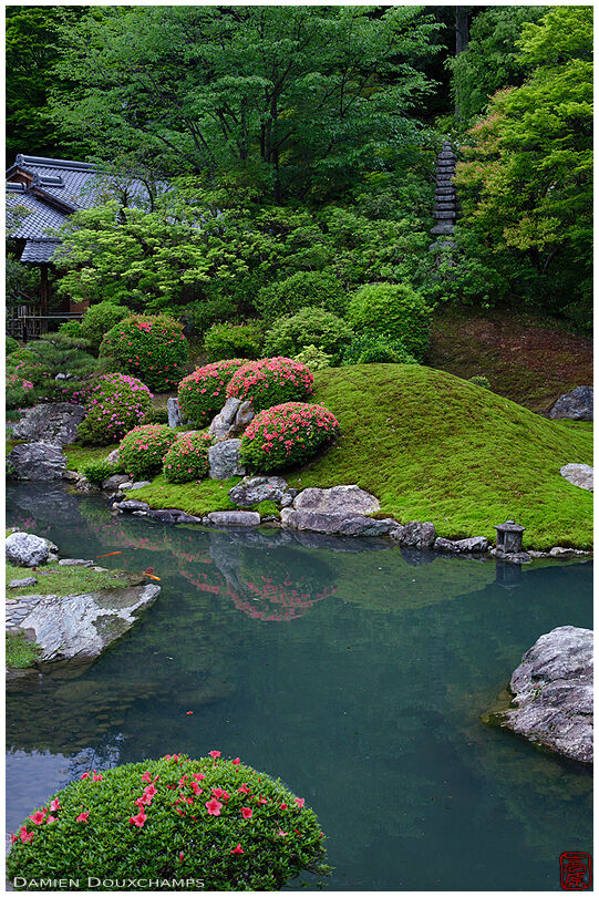 Pond in Shoren-in zen gardens