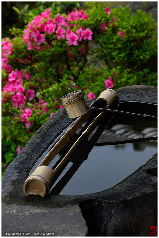 Bamboo ladle on water basin, Chishaku-in zen gardens