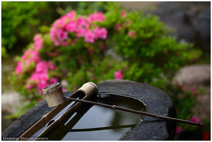 Bamboo ladle on water basin, Chishaku-in zen gardens