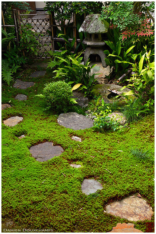 Step stones in moss garden, Funda-in temple
