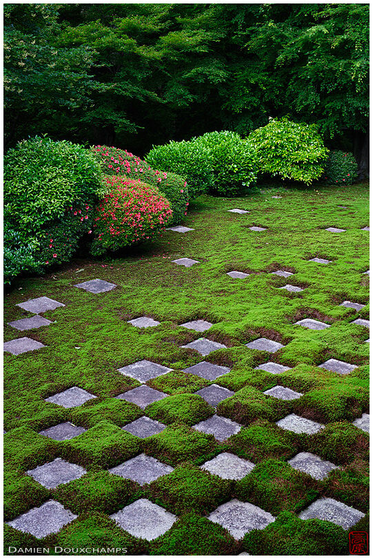 Lush vegetation around moss garden, Tofuku-ji temple