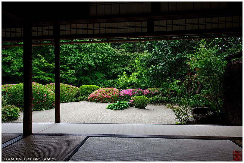 Lush vegetation and blooming rhododendrons from meditation hall, Shisen-do temple