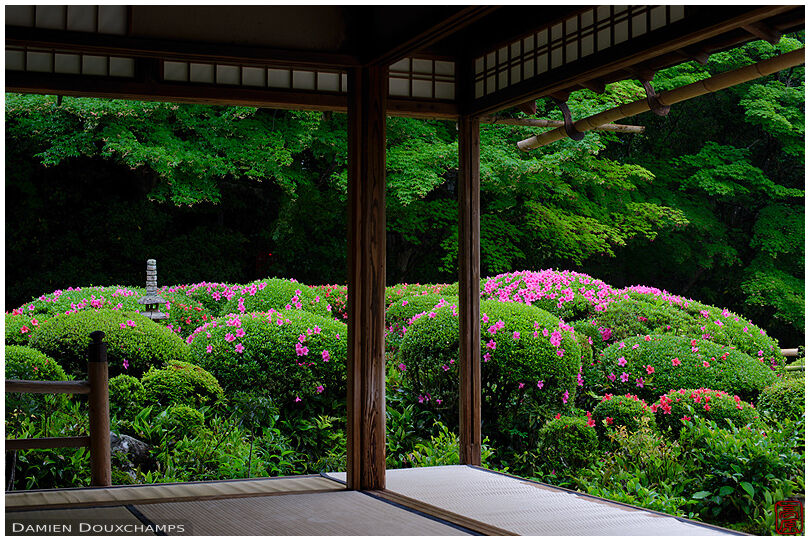 Meditation hall in summer, Shisen-do temple (1/7)