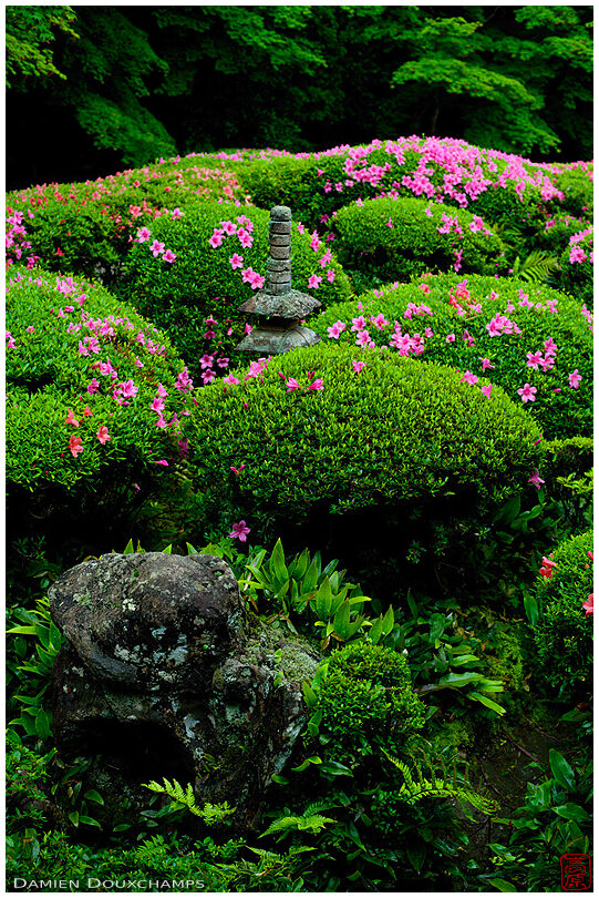 Lush vegetation and blooming rhododendrons surrounding miniature stone pagoda, Shisen-do temple gardens
