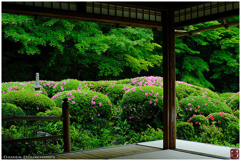 Meditation hall in summer, Shisen-do temple (3/7)